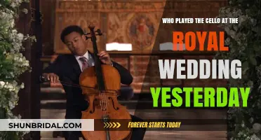 Royal Wedding Cello Performance: Who Played at Yesterday's Ceremony?