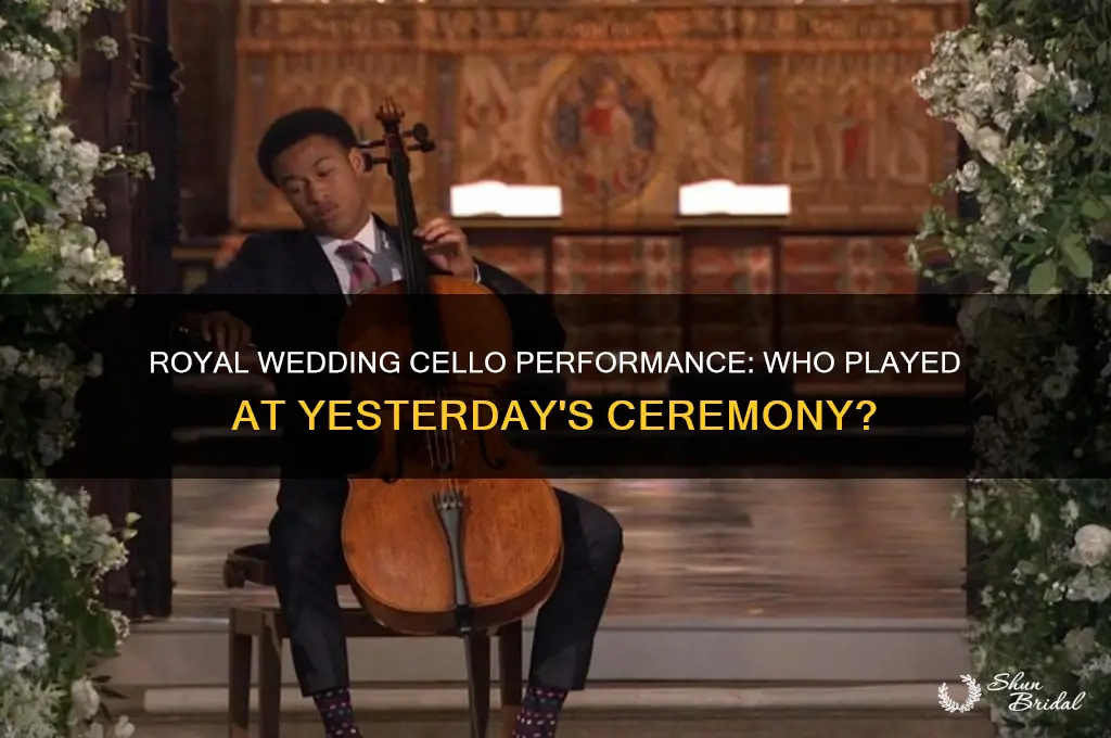 who played the cello at the royal wedding yesterday