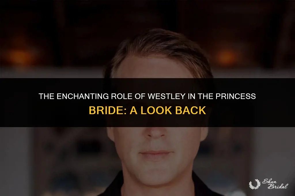who played westley in the princess bride