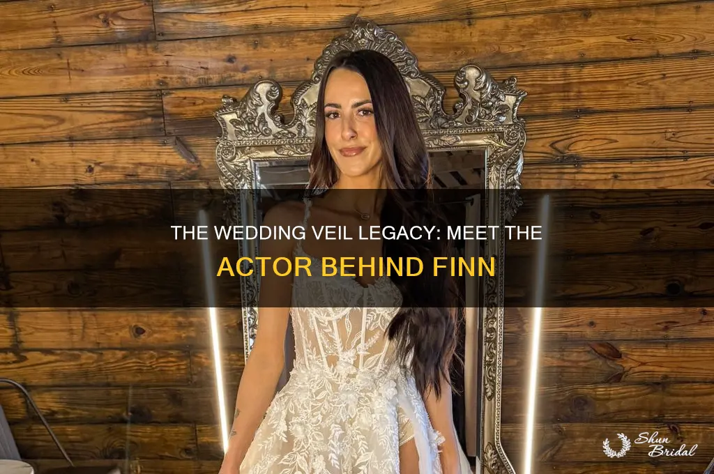 who plays finn in the wedding veil legacy