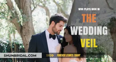Who Plays Nick in The Wedding Veil? Meet the Actor