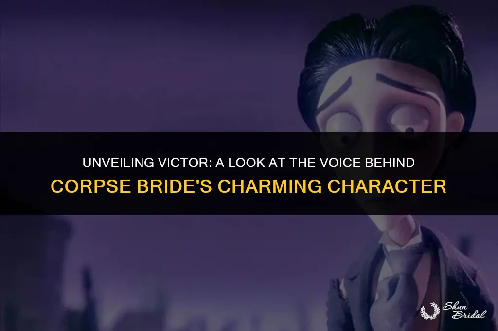 who plays victor in corpse bride
