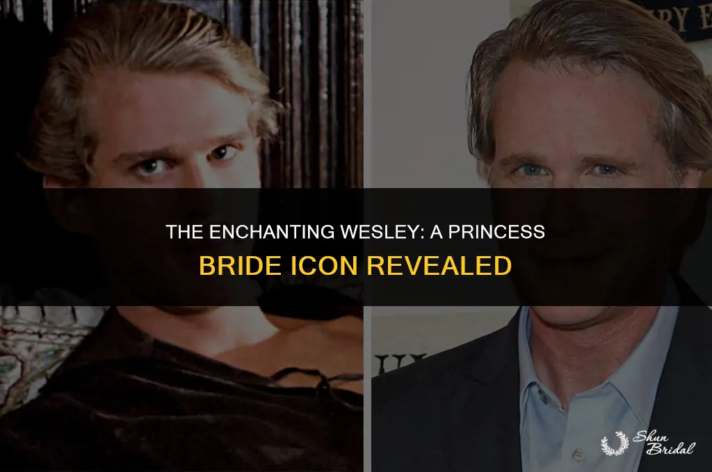 who plays wesley in princess bride