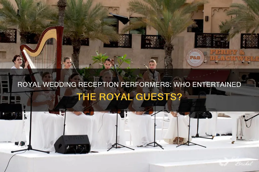 who preformed at royal wedding reception