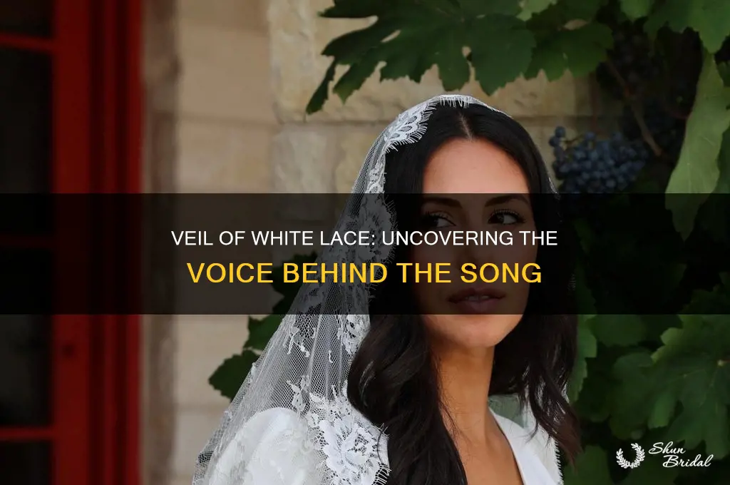 who sang veil of white lace
