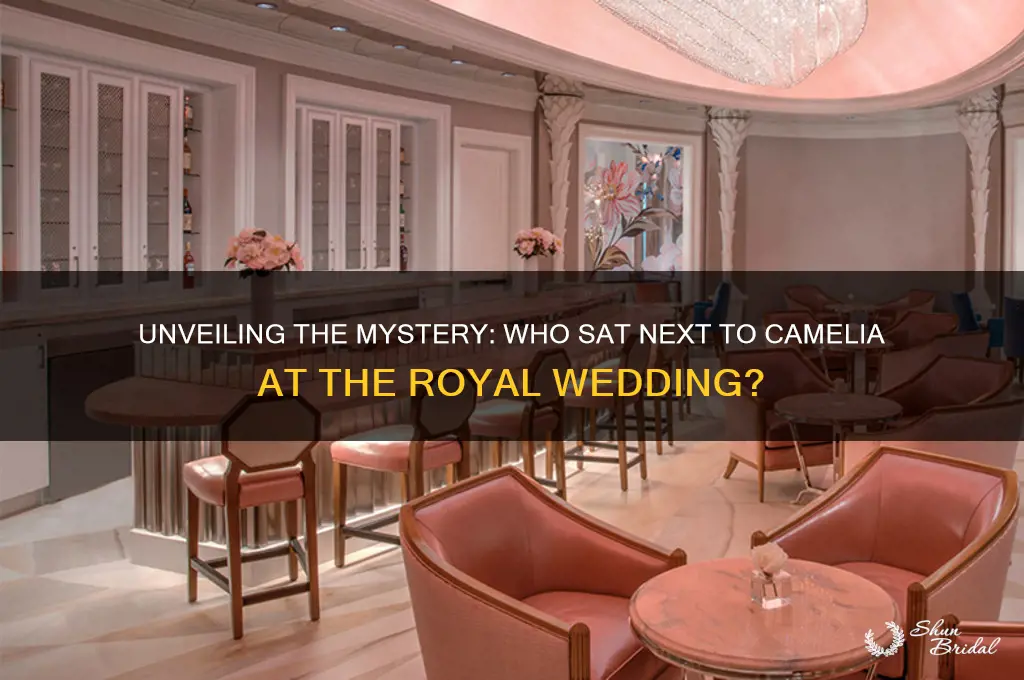 who sat next tocamelia at the royal wedding