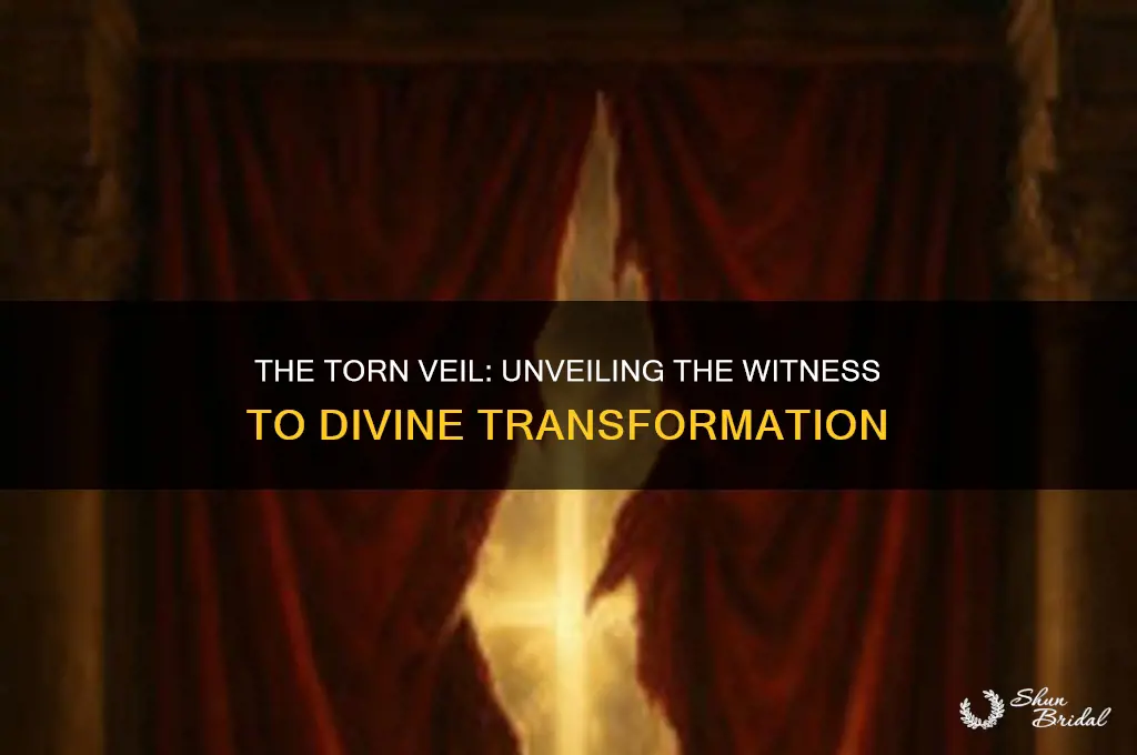 who saw the veil torn