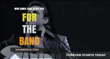 Unveiling the Voice: Who Sings 'Long Black Veil' for the Band?