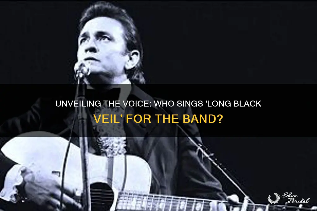 who sings long black veil for the band