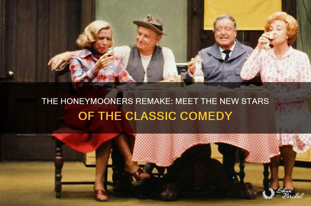 who starred in the remake of the honeymooners