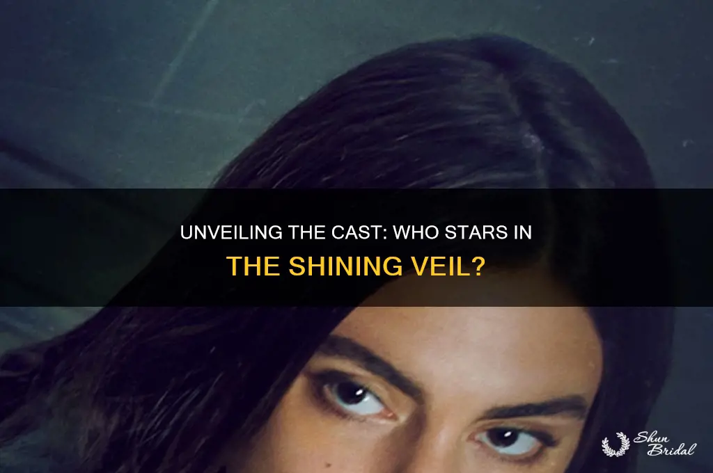 who stars in shining veil