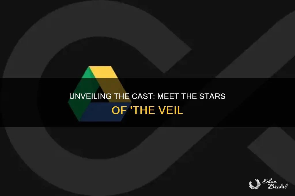 who stars in the veil