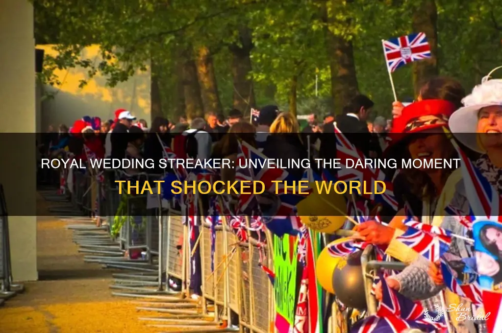 who streaking at royal wedding