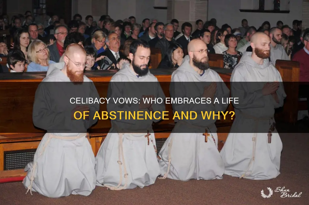 who takes a vow of celibacy