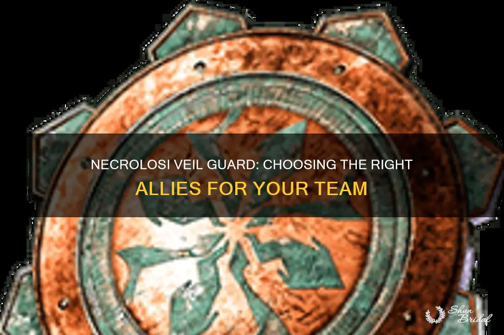 who to bring or necrolosi veil guard