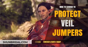 Choosing Guardians: Ensuring Safety for Veil Jumpers in High-Risk Adventures
