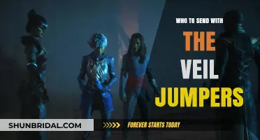 Choosing the Right Companions for Veil Jumpers: A Strategic Guide