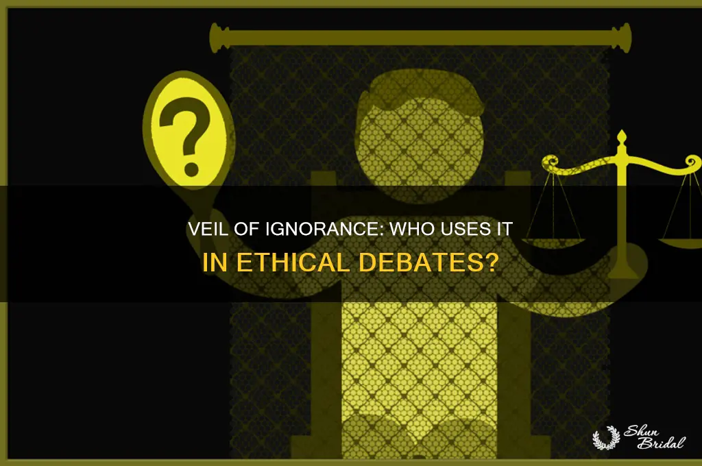who uses the veil of ignorance as a discussion topic