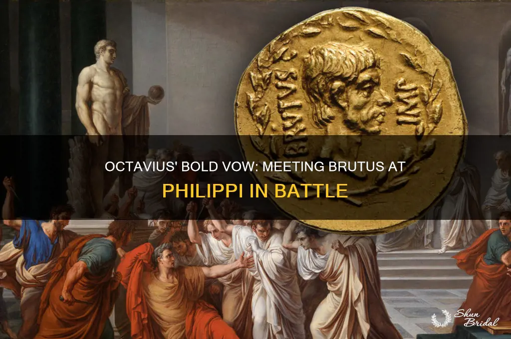 who vows to meet brutus at phillipi