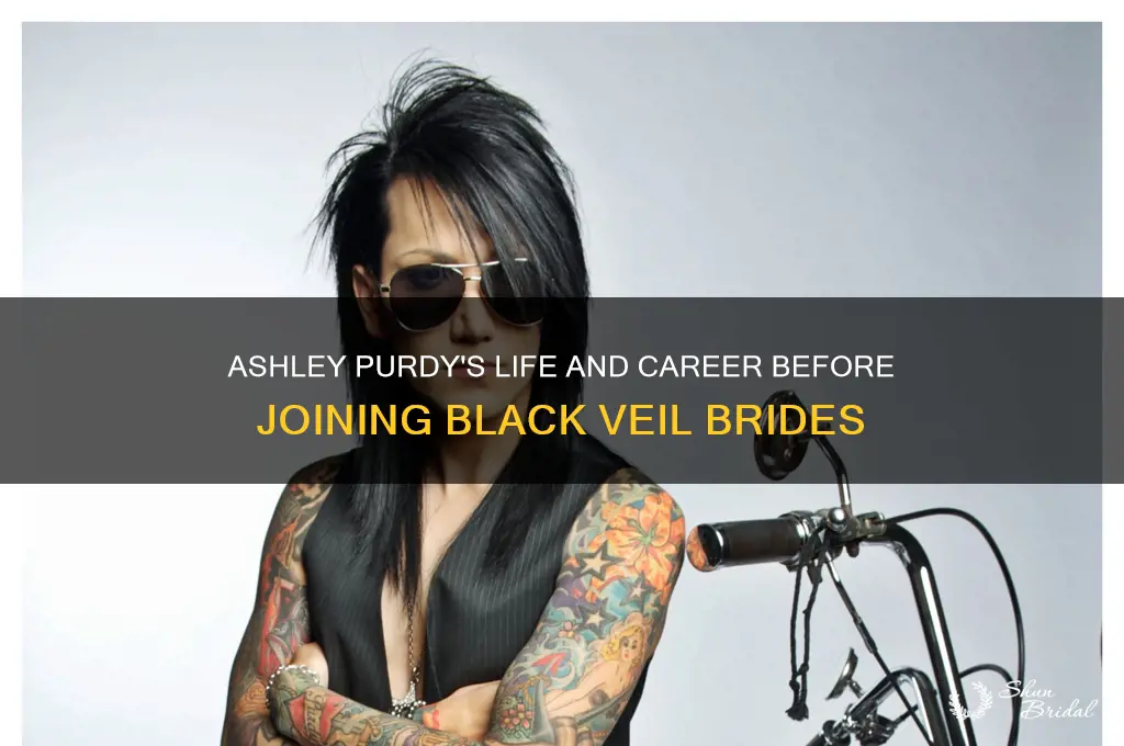 who was ashley purdy before black veil brides