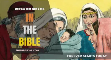 Biblical Figures Born with a Veil: Unveiling Divine Mysteries