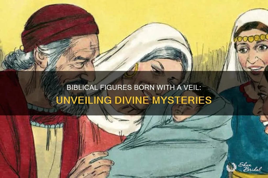 who was born with a veil in the bible