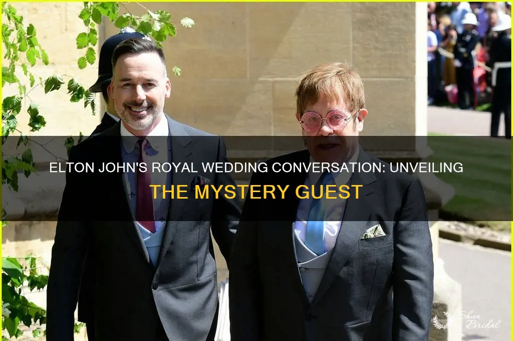 who was elton john talking to at the royal wedding