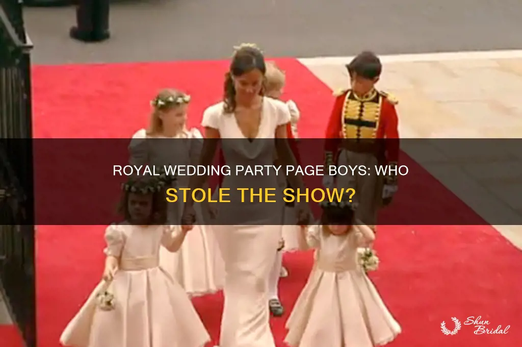 who was in the royal wedding party page boys