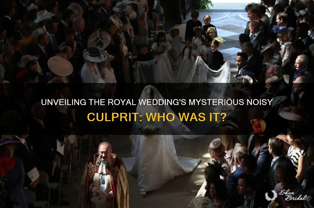 who was making all that noise at the royal wedding