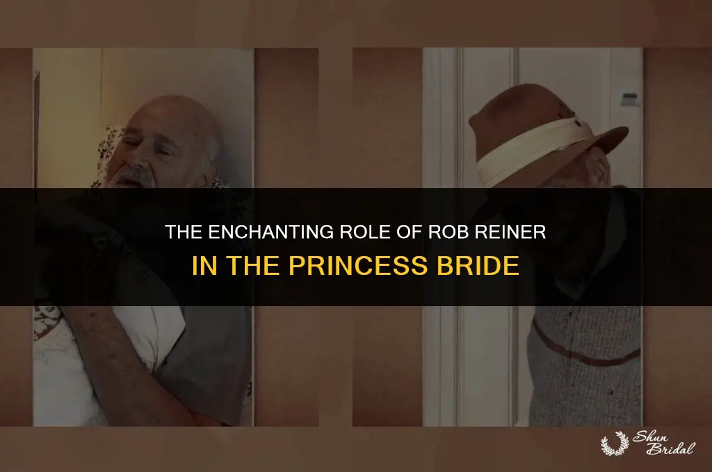 who was rob reiner in the princess bride