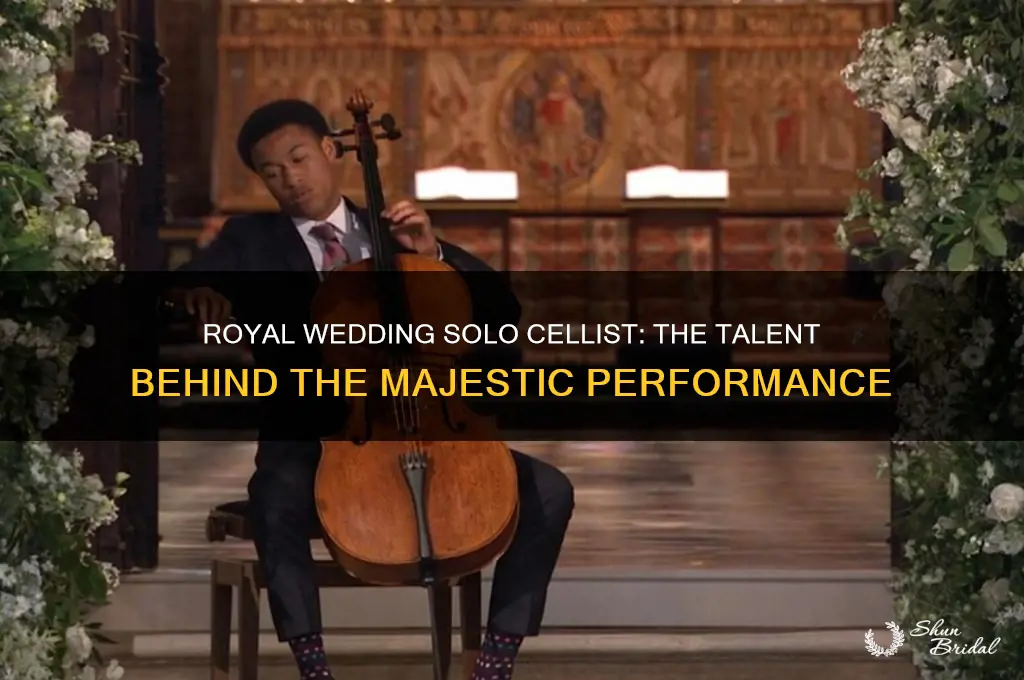 who was solo cellist at royal wedding