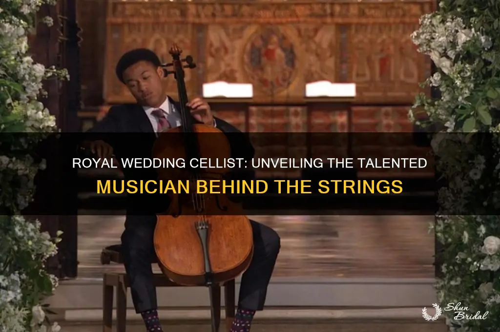 who was the cellist playing at the royal wedding