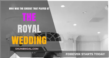 The Royal Wedding's Cheesiest Musical Guest: Who Stole the Show?