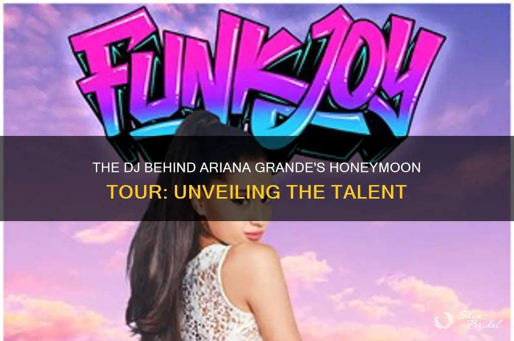 who was the dj at the honeymoon tour
