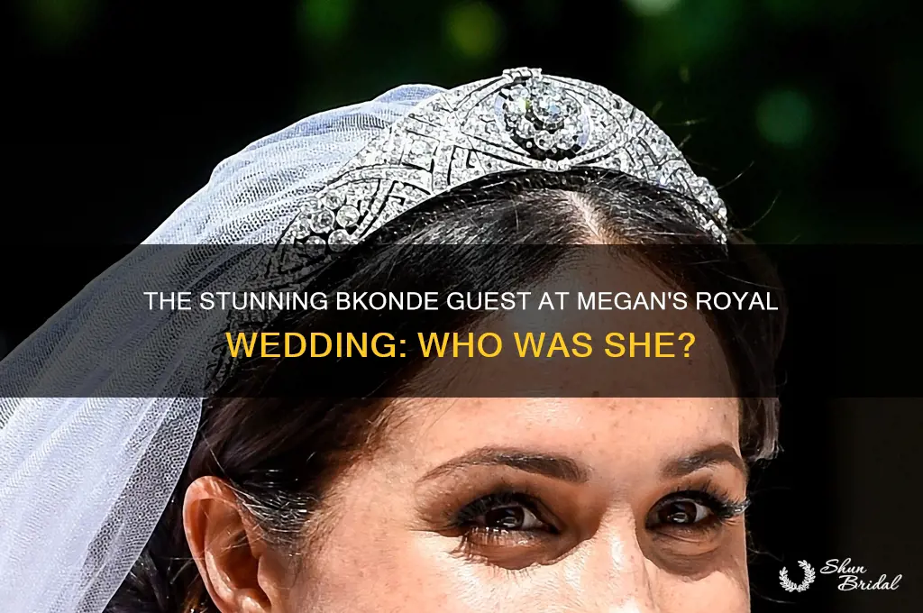 who was the pretty bkonde guest at megans royal wedding