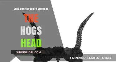 Unveiling the Mystery: The Veiled Witch of the Hog's Head