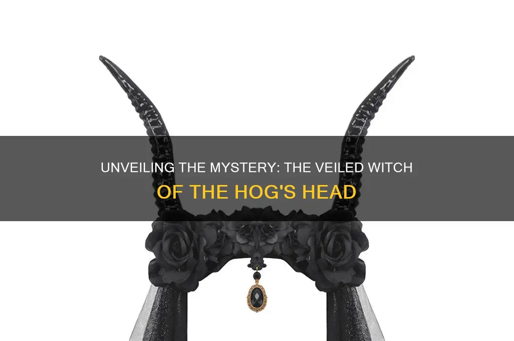 who was the veiled witch at the hogs head