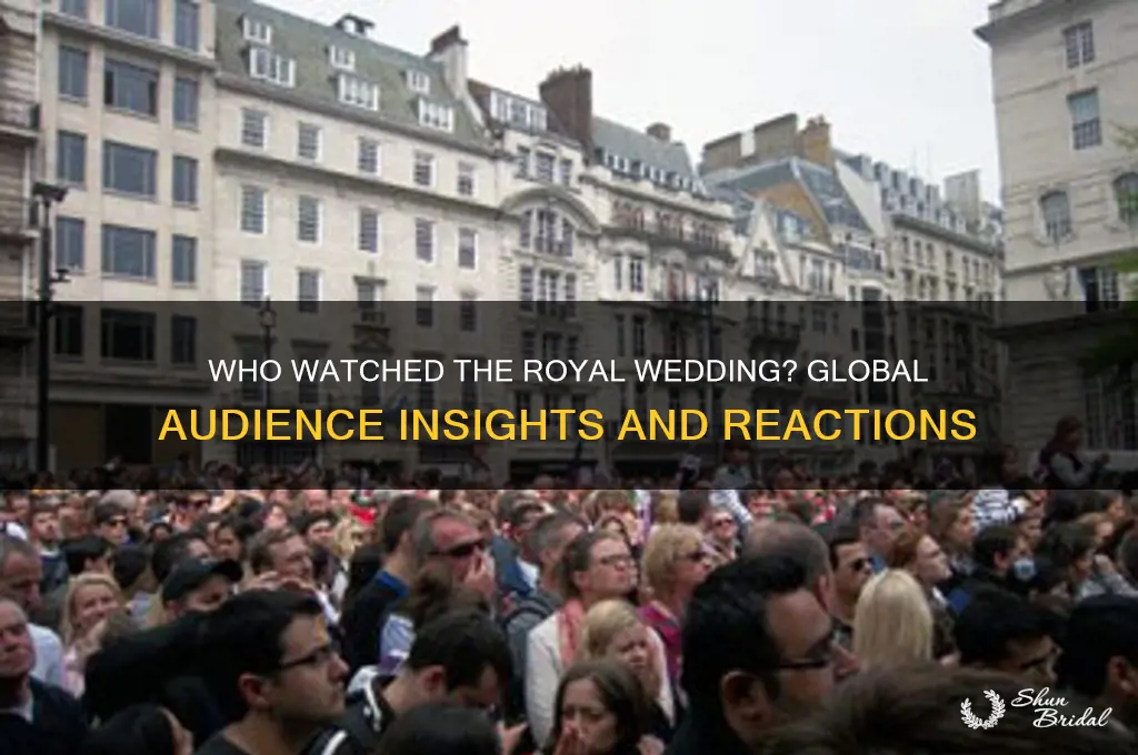 who watched the royal wedding