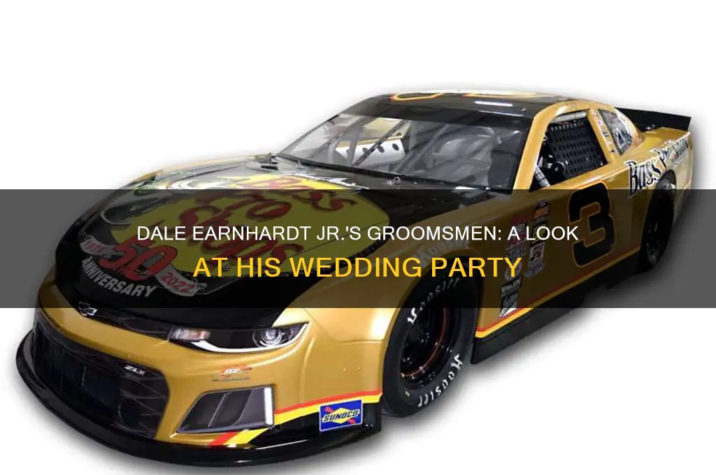who were dale earnhart juniors groomsmen