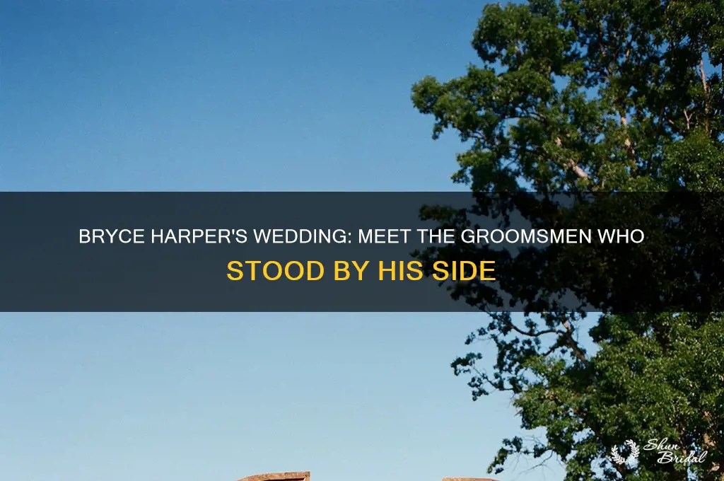 who were groomsman at bryce harpers wedding