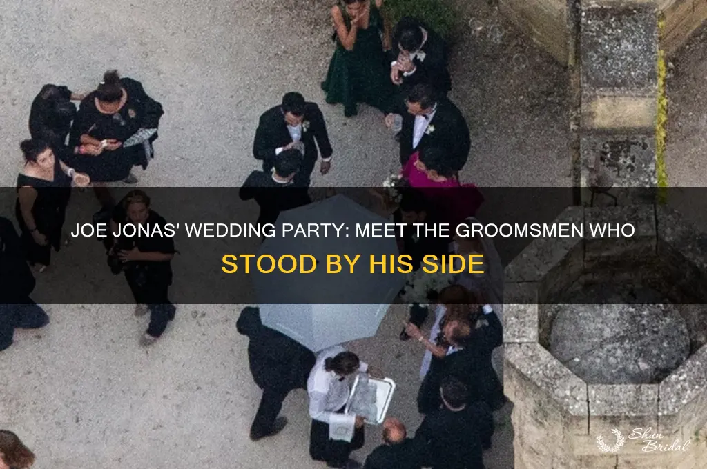 who were joe jonas groomsmen