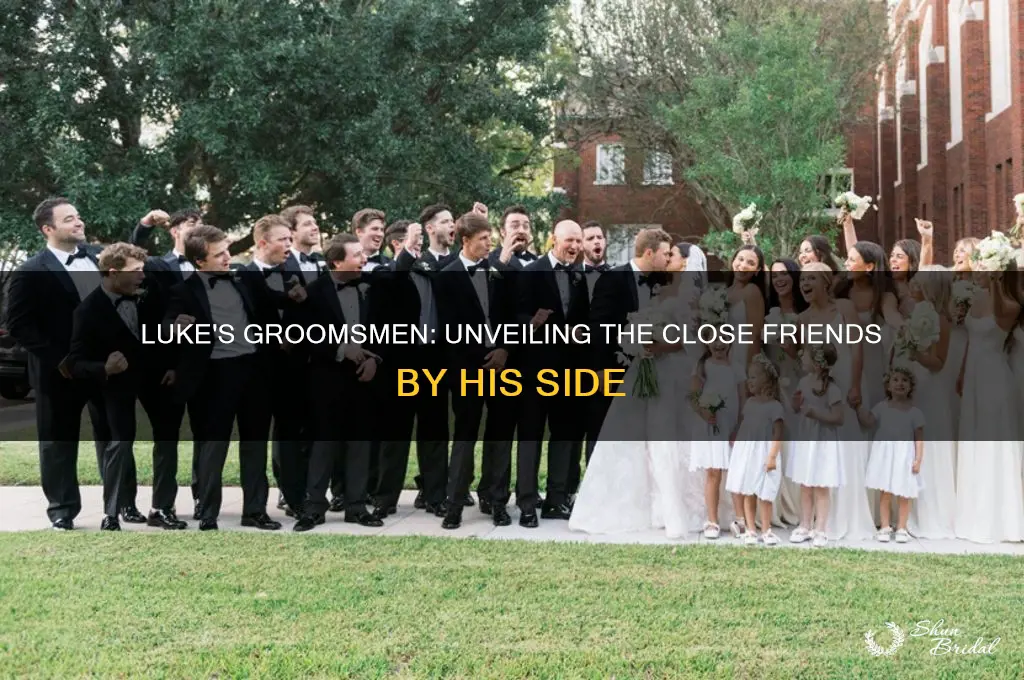 who were lukes groomsmen