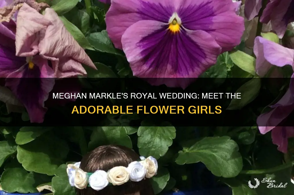 who were meghan markels flower girls