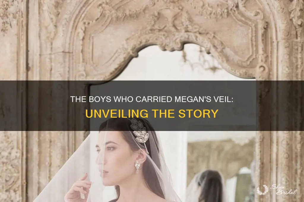 who were the boys that carried megan