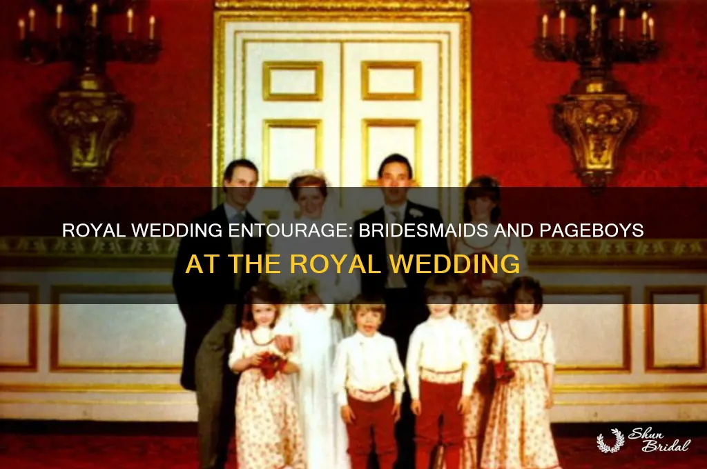who were the bridesmaids and pageboys at the royal wedding