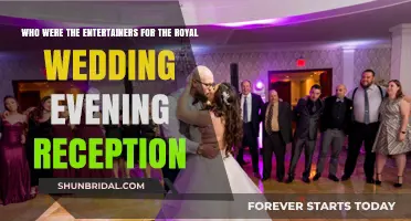 Royal Wedding Evening Reception: The Entertainers Who Captivated the Crowd