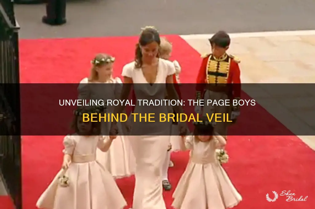 who were the page boys carrying the veil