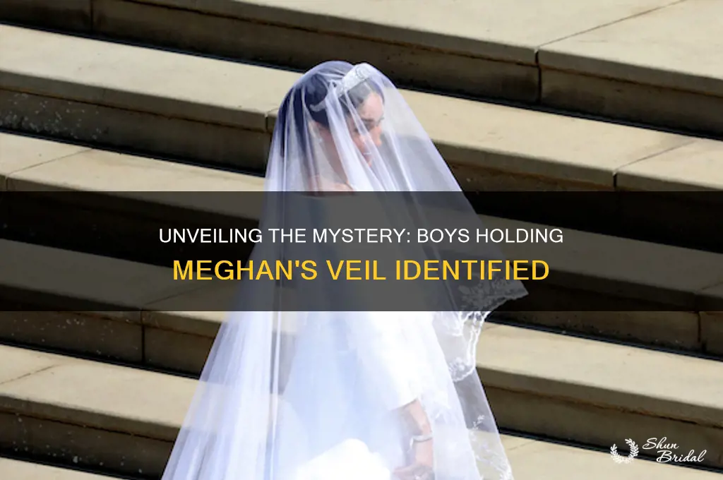 who were the two boys holding meghans veil