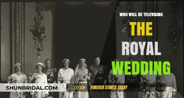 Royal Wedding Broadcast: Which Networks Will Televise the Big Day?