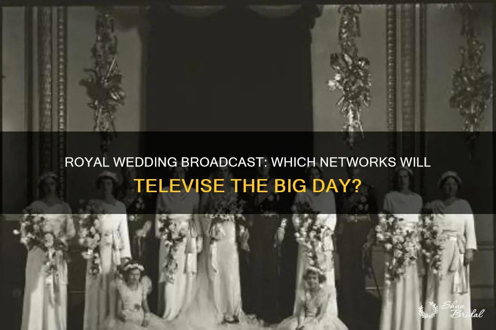 who will be televising the royal wedding